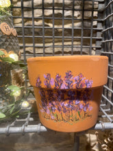 Load image into Gallery viewer, Original watercolour and pen painting on a terracotta flower pot
