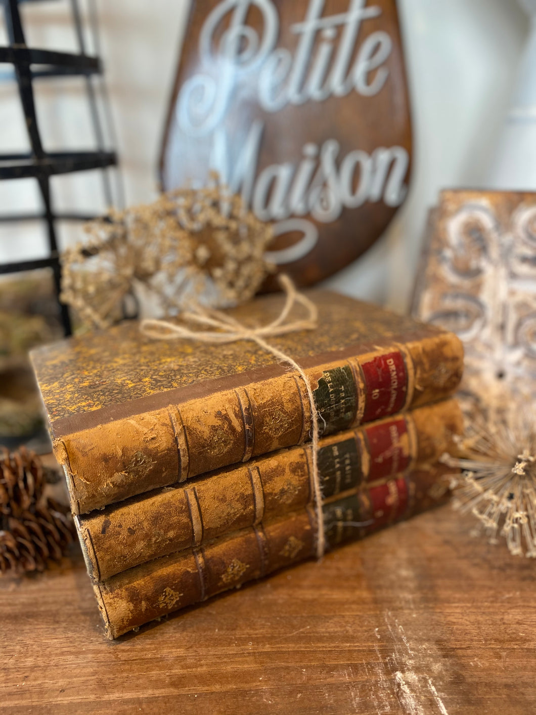 French vintage leather bound books x3