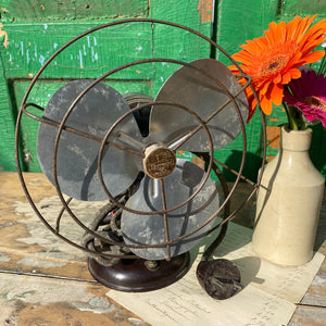 Small french Thermor fan