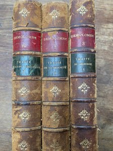 French vintage leather bound books x3